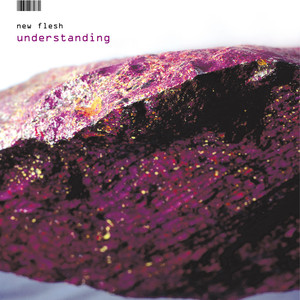 Understanding album