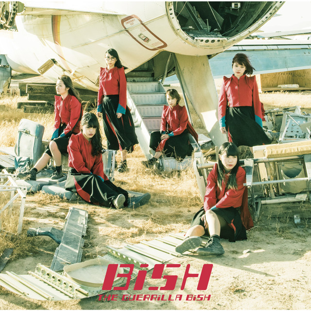 The Guerrilla Bish cover