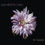 Be Happy Albumcover
