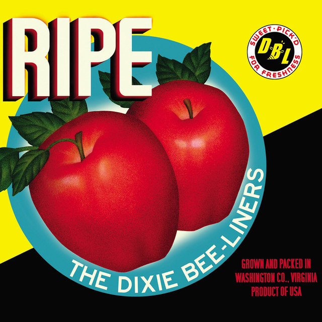 The Dixie Bee-Liners Photo