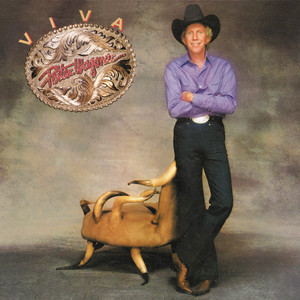 Viva cover