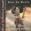 Hives Of Honeyed Sound (Blas Na Meala) Albumcover