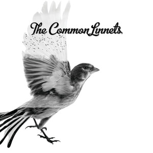The Common Linnets (Special Edition) cover