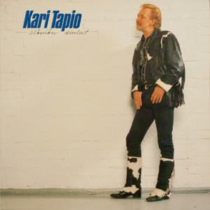 Elämän viulut cover