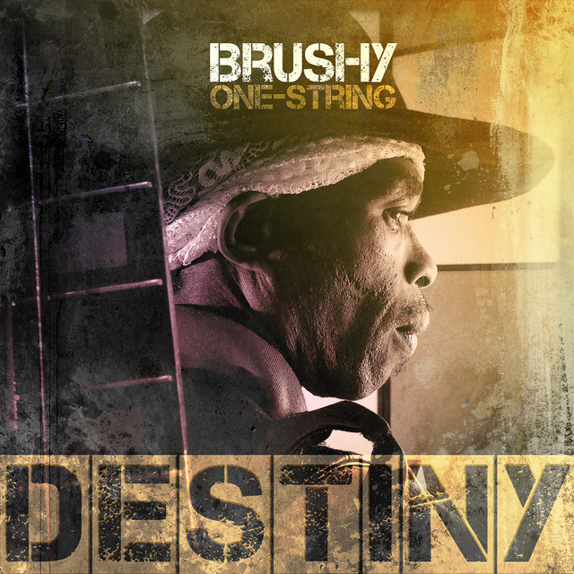 Brushy One String Photo