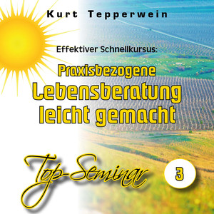 Effektiver Schnellkursus: Praxisbezogene Lebensberatung leicht gemacht (Top-Seminar Teil 3)