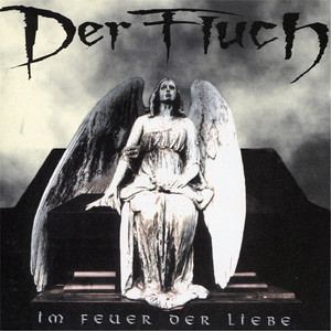 Im Feuer der Liebe cover