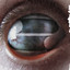 Crazy Eyes cover