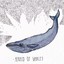 Afraid Of Whales Albumcover