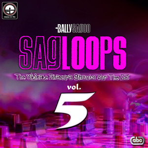Sagloops Volume 5 - The Ultimate Bhangra Shouts For The DJ album