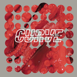 The Way of Curve cover