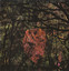 Real Blood On Fake Trees cover