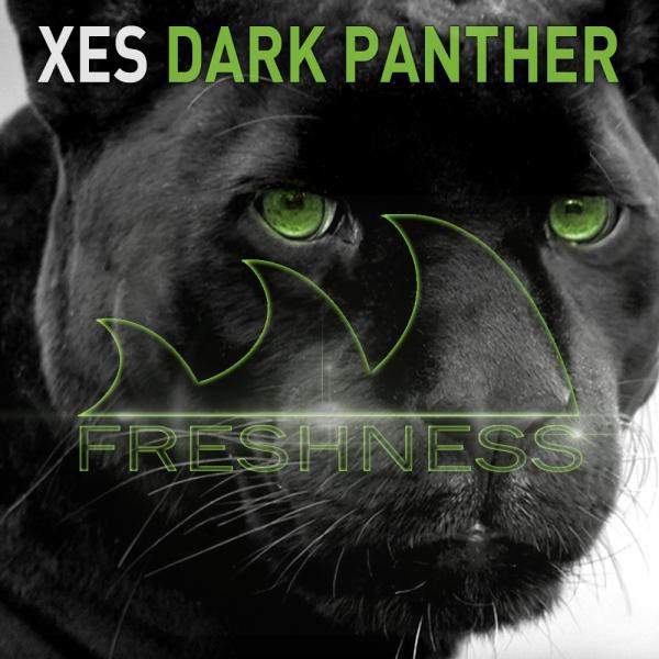 XES Photo