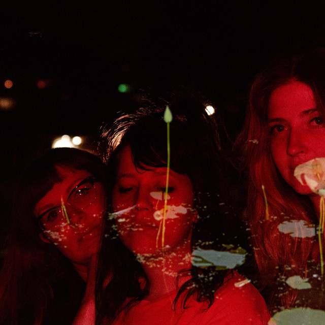Vivian Girls photo