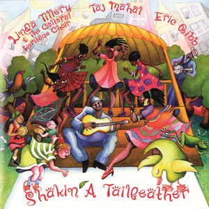 Shakin' a Tailfeather album