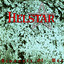 Remnants of War cover