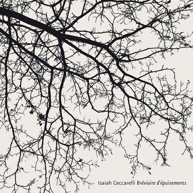 Isaiah Ceccarelli Photo