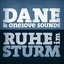 Ruhe Im Sturm Albumcover