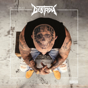 Destroy cover