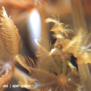 Open Spaces cover
