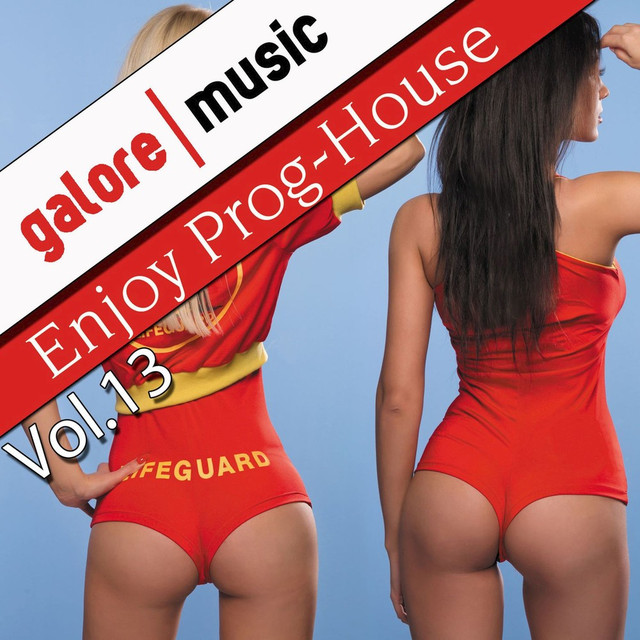 Enjoy Prog-House, Vol. 13 Albumcover