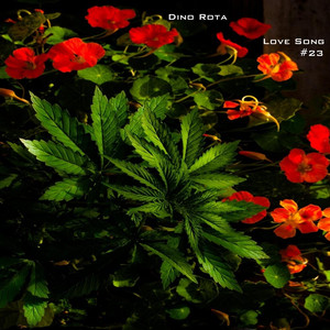 Dino Rota