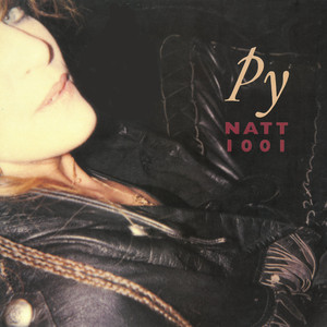 Natt 1001 cover