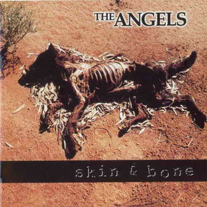 Skin & Bone album