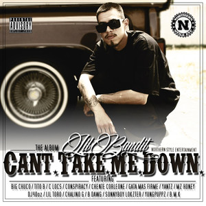 Can't Take Me Down cover