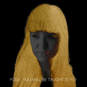You Will Be Taught to Fly album