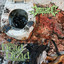 The Dead Still Dead Remain cover