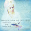 11 Recitations of the Pauris of Jap Ji (Meditation of the Soul) cover
