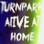 Alive At Home Albumcover
