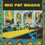 Big Fat Snake cover