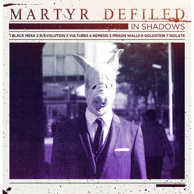 In Shadows cover
