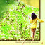 Hope Glory Mountain cover