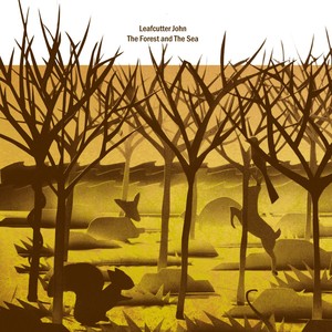 The Forest and the Sea Albumcover