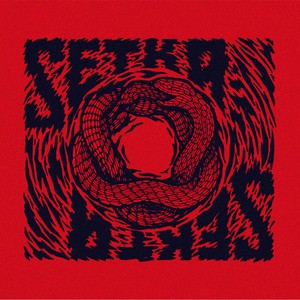 Setka Sekta Albumcover