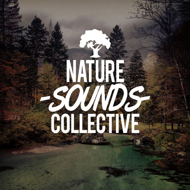 Nature Sounds Collective Albumcover