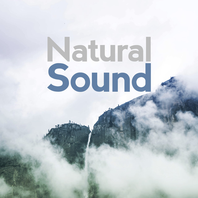 Natural Sound Albumcover