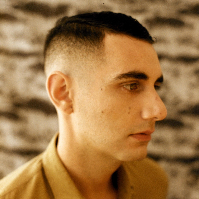 Alex Anwandter photo