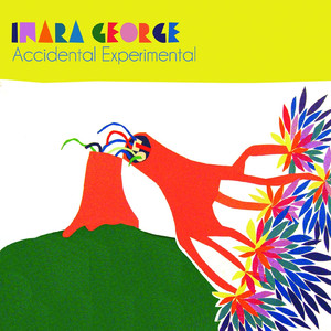 Accidental Experimental cover