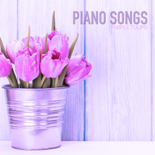 Tulips Photo