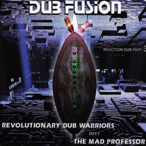 Dub Fusion cover