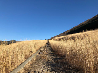 Hakobune Photo