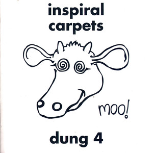 Dung 4 album
