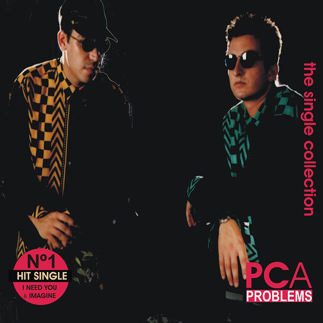 PCA Problems Photo