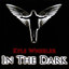 In the Dark Albumcover