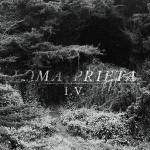 I.V. cover