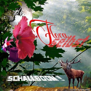 Schallboom Albumcover